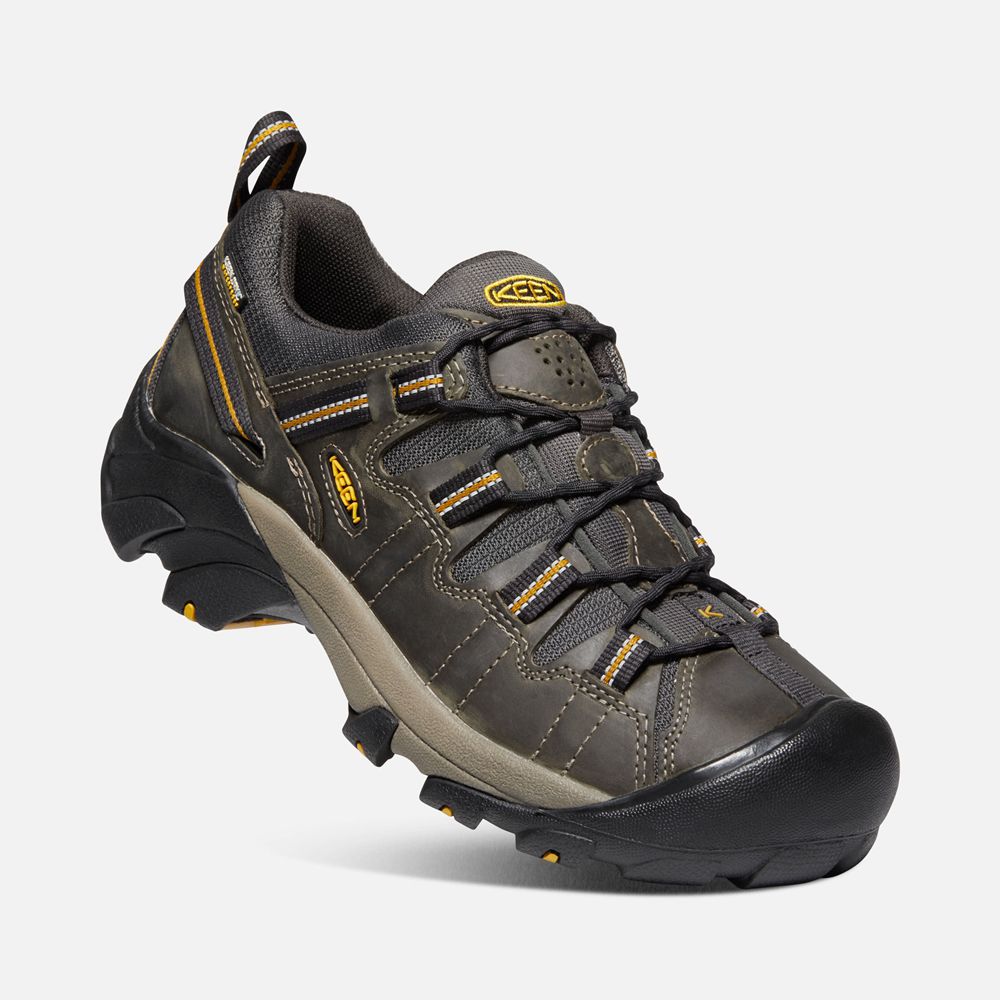 Keen Outdoor Ayakkabı Erkek Siyah Kahverengi - Targhee Ii Waterproof - Türkiye LXGI62809